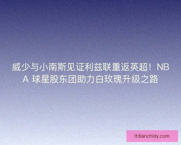 威少与小南斯见证利兹联重返英超！NBA 球星股东团助力白玫瑰升级之路