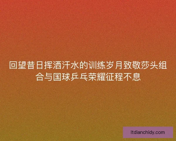 回望昔日挥洒汗水的训练岁月致敬莎头组合与国球乒乓荣耀征程不息