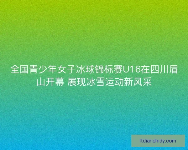 全国青少年女子冰球锦标赛U16在四川眉山开幕 展现冰雪运动新风采